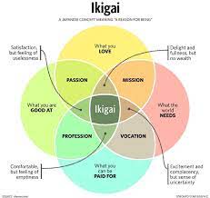 Why everyone should read IKIGAI