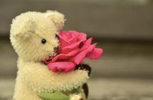 Happy Teddy Day valentine