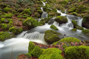 How to overcome fear of water