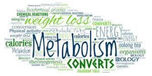 How to increase metabolism